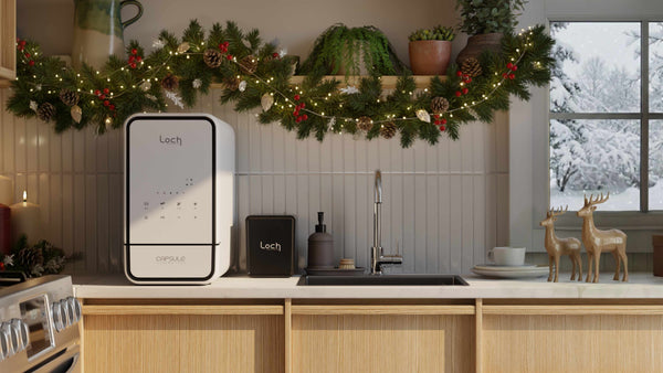 capsule Chrismtas render - desktop