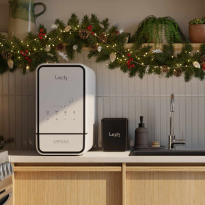 PDP render - Christmas